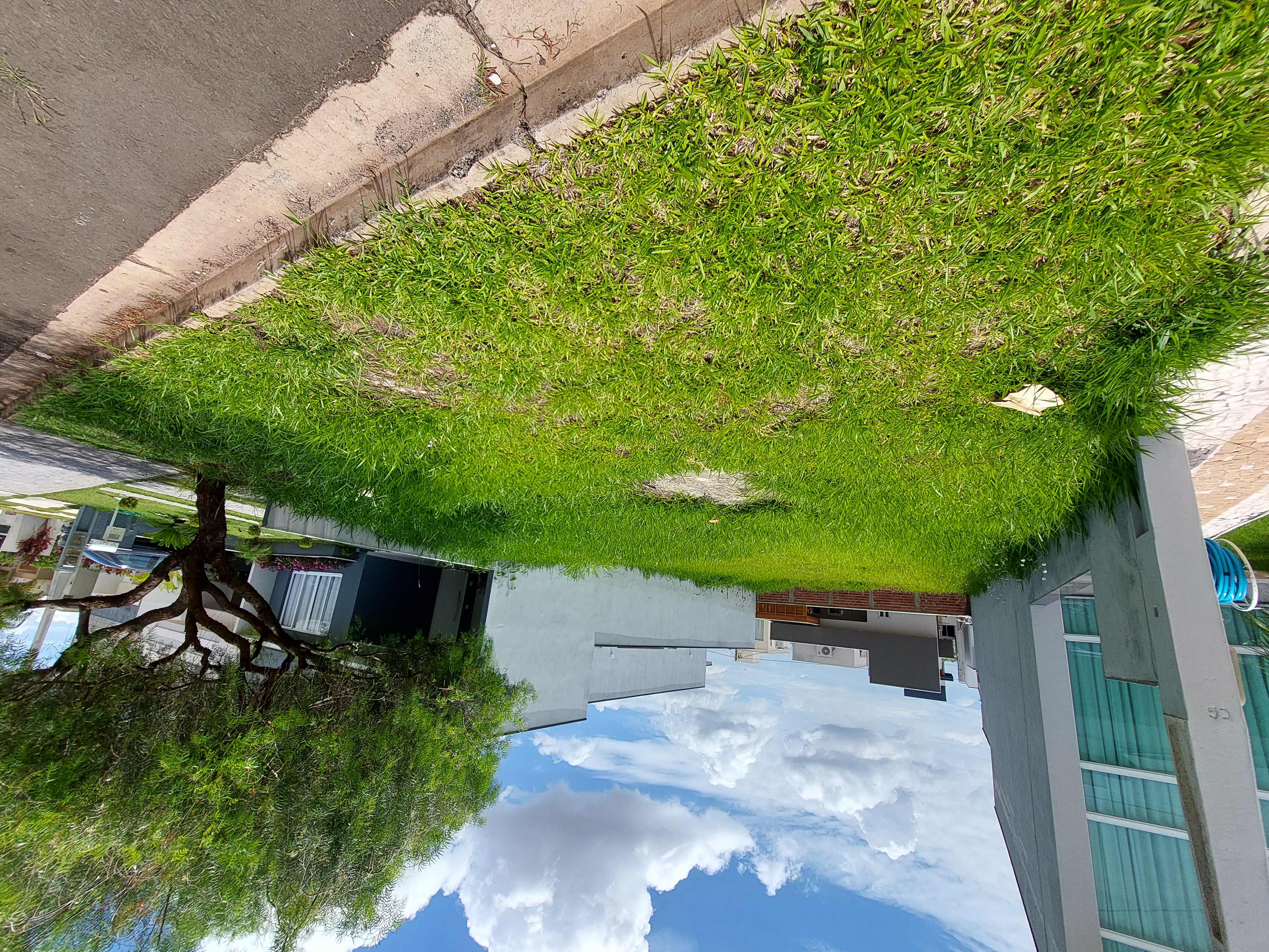 Terreno, 250 m² - Foto 1