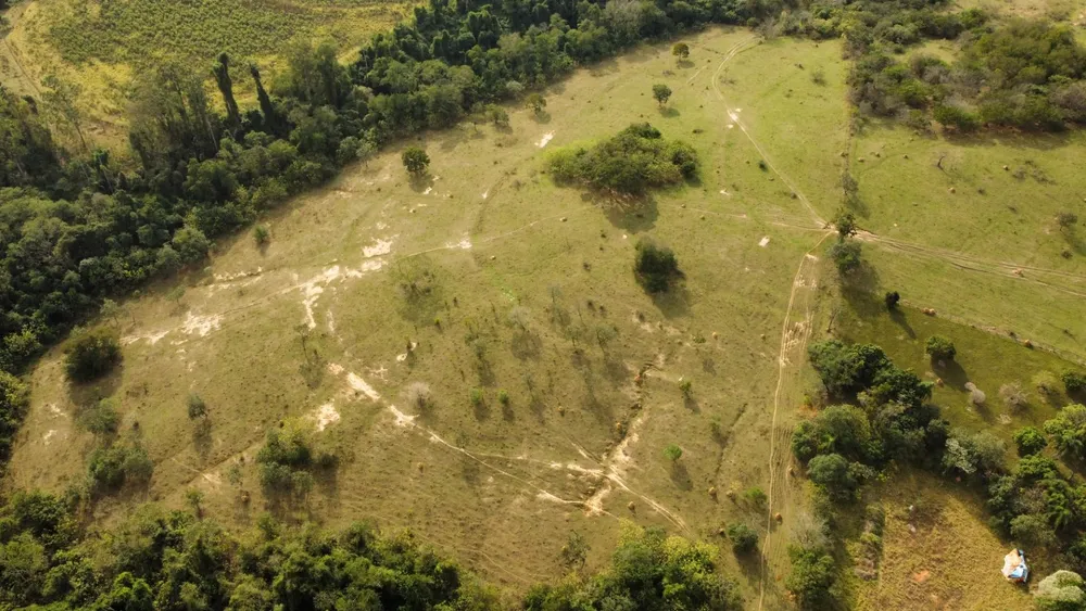 Terreno, 1585 hectares - Foto 7