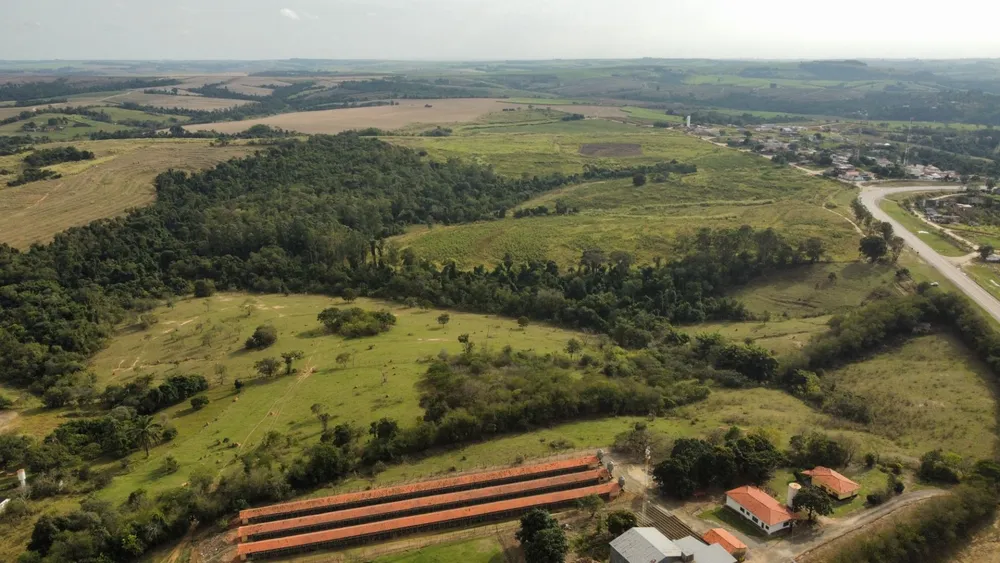 Terreno, 1585 hectares - Foto 4