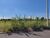 Terreno, 160 m² - Foto 2
