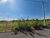 Terreno, 160 m² - Foto 3