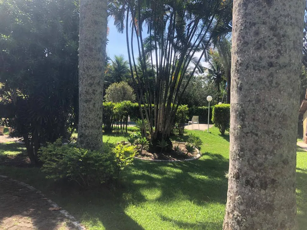 Sítio, 4 quartos, 10000 m² - Foto 10