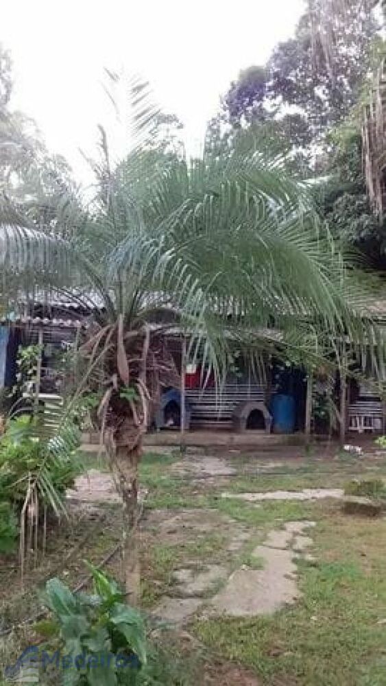 Chácara à venda com 2 quartos, 2438m² - Foto 2