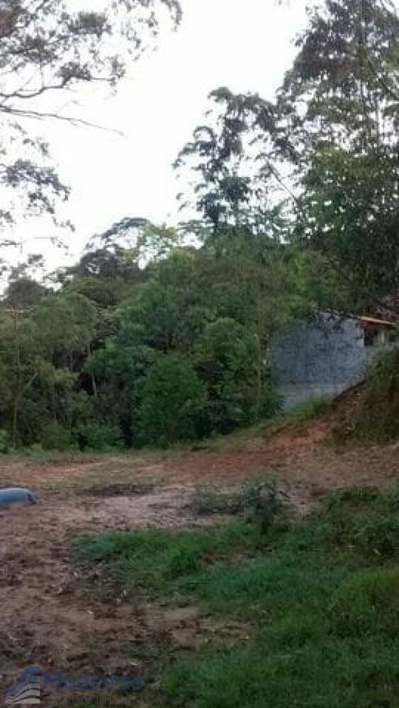 Chácara à venda com 2 quartos, 2438m² - Foto 7