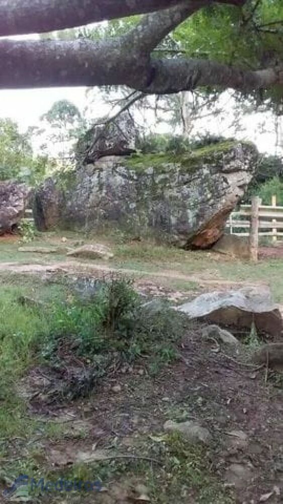 Chácara à venda com 2 quartos, 2438m² - Foto 1