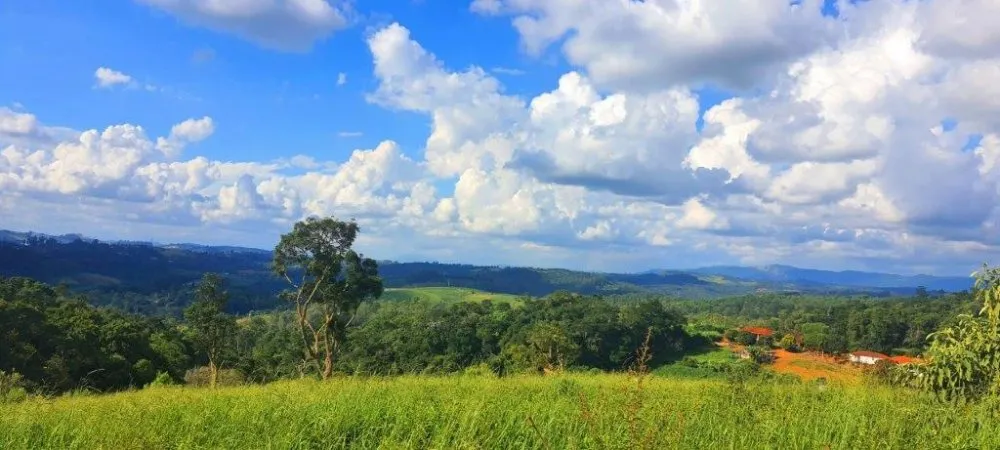 Terreno, 2 hectares - Foto 7