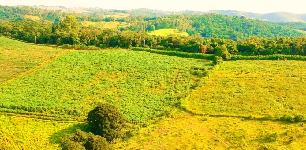 Terreno, 2 hectares - Foto 1
