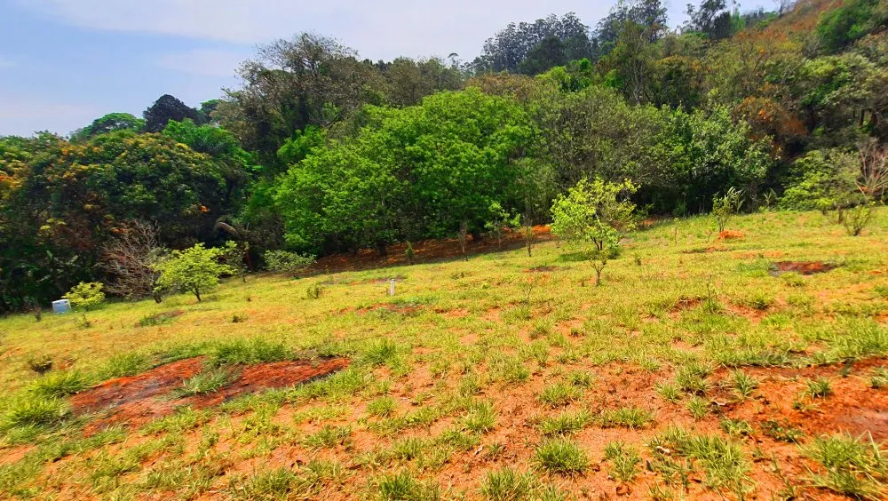 Terreno, 910 m² - Foto 14