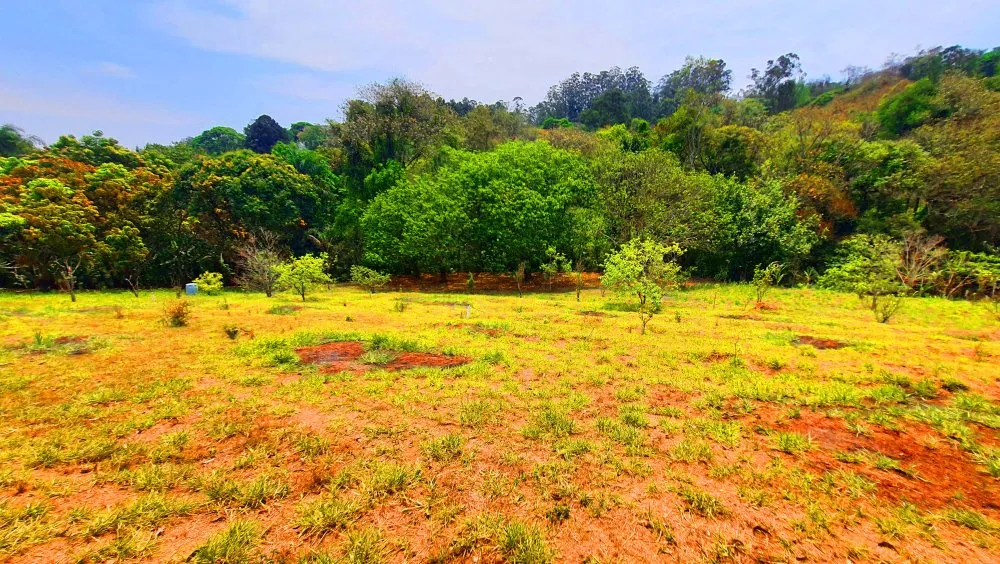 Terreno, 910 m² - Foto 13