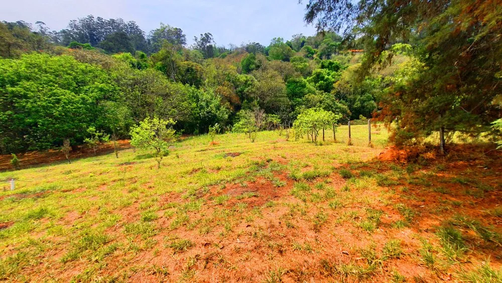 Terreno, 910 m² - Foto 6