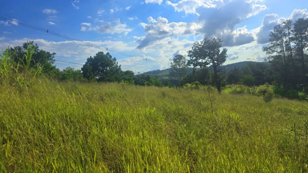 Terreno, 1078 m² - Foto 1