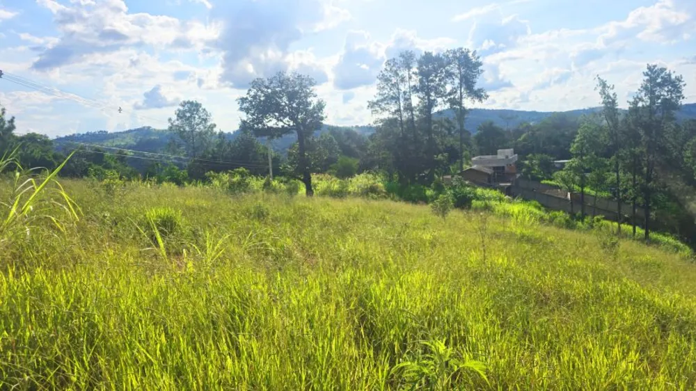 Terreno, 1078 m² - Foto 4