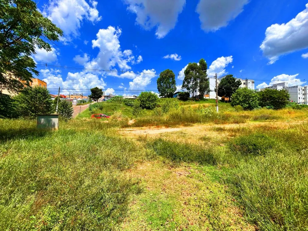 Terreno, 3766 m² - Foto 9