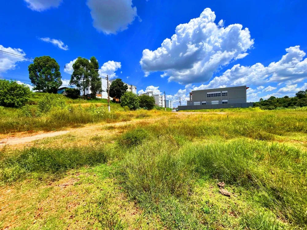 Terreno, 3766 m² - Foto 7