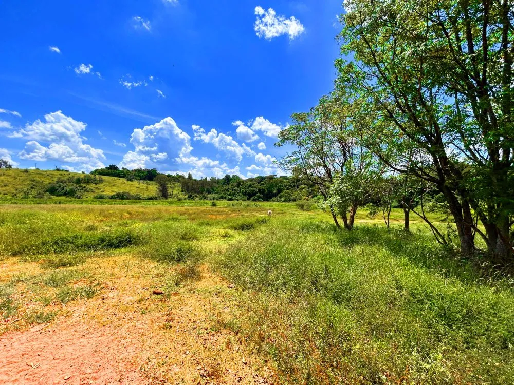 Terreno, 3766 m² - Foto 14