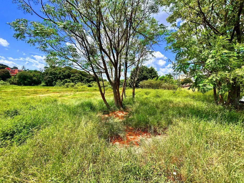 Terreno, 3766 m² - Foto 12