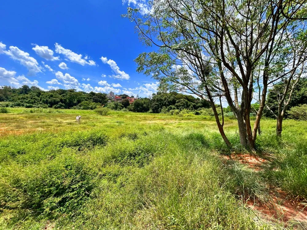 Terreno, 3766 m² - Foto 11