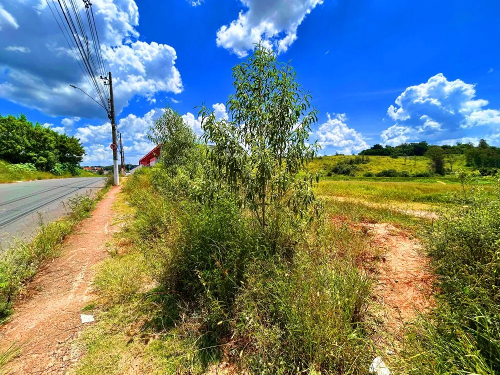 Terreno, 3766 m² - Foto 6