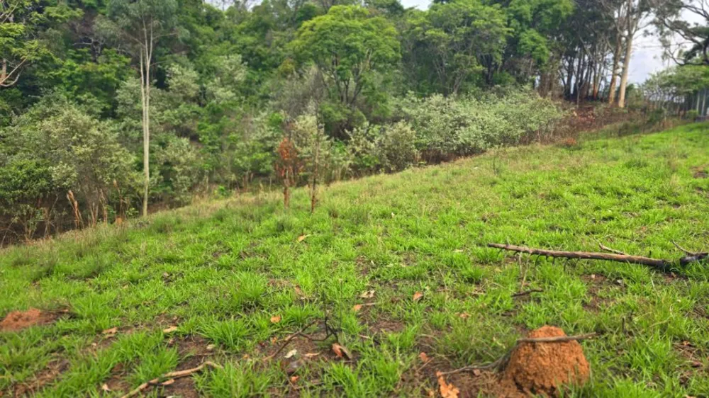Terreno, 709 m² - Foto 6