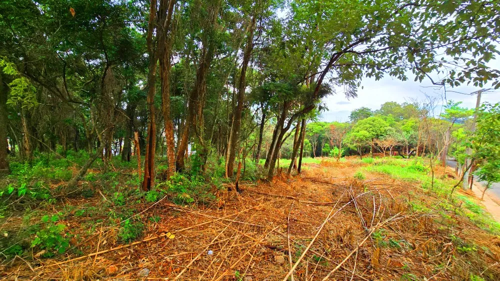 Terreno, 168 m² - Foto 5