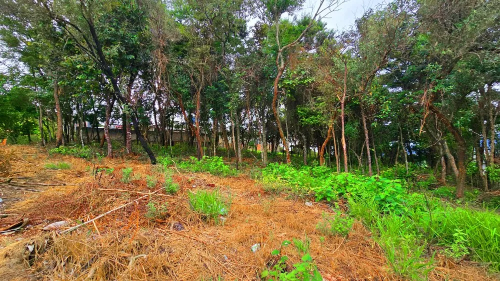 Terreno, 168 m² - Foto 13