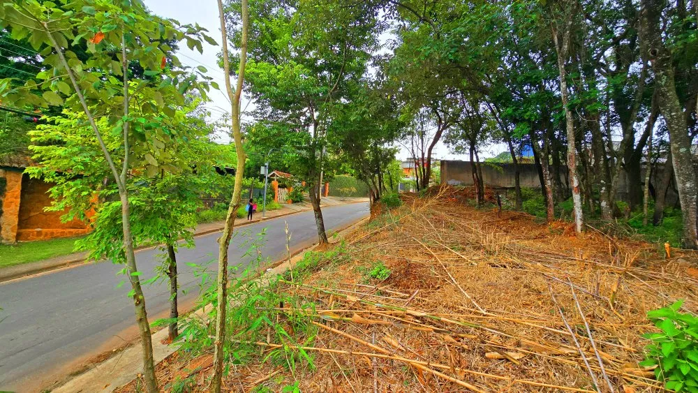 Terreno, 2950 m² - Foto 3