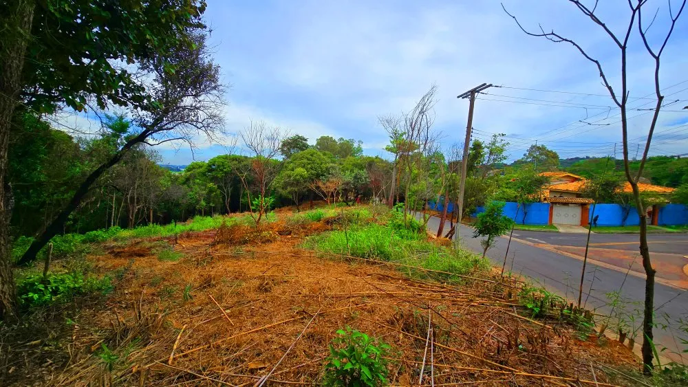 Terreno, 2950 m² - Foto 7