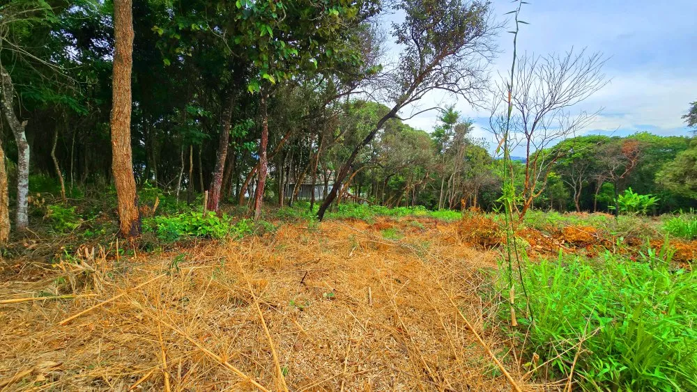 Terreno, 2950 m² - Foto 2