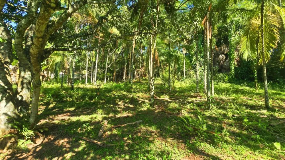 Terreno, 4100 m² - Foto 2