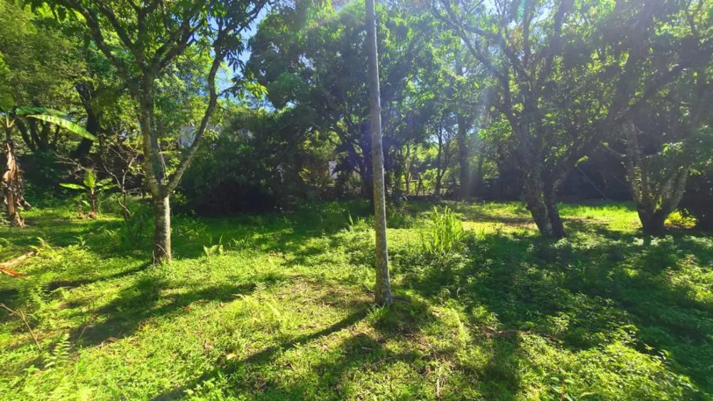 Terreno, 4100 m² - Foto 3
