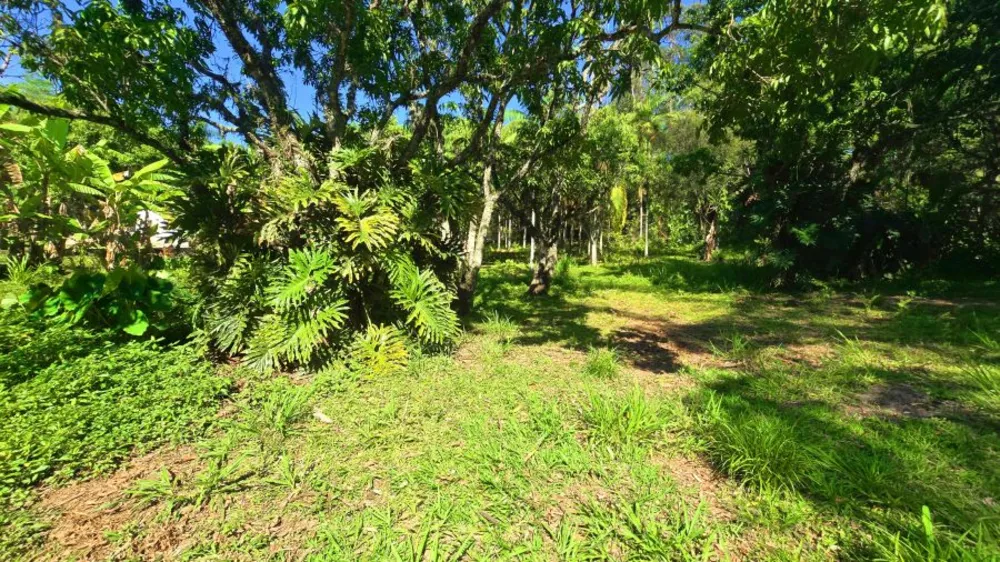Terreno, 4100 m² - Foto 1