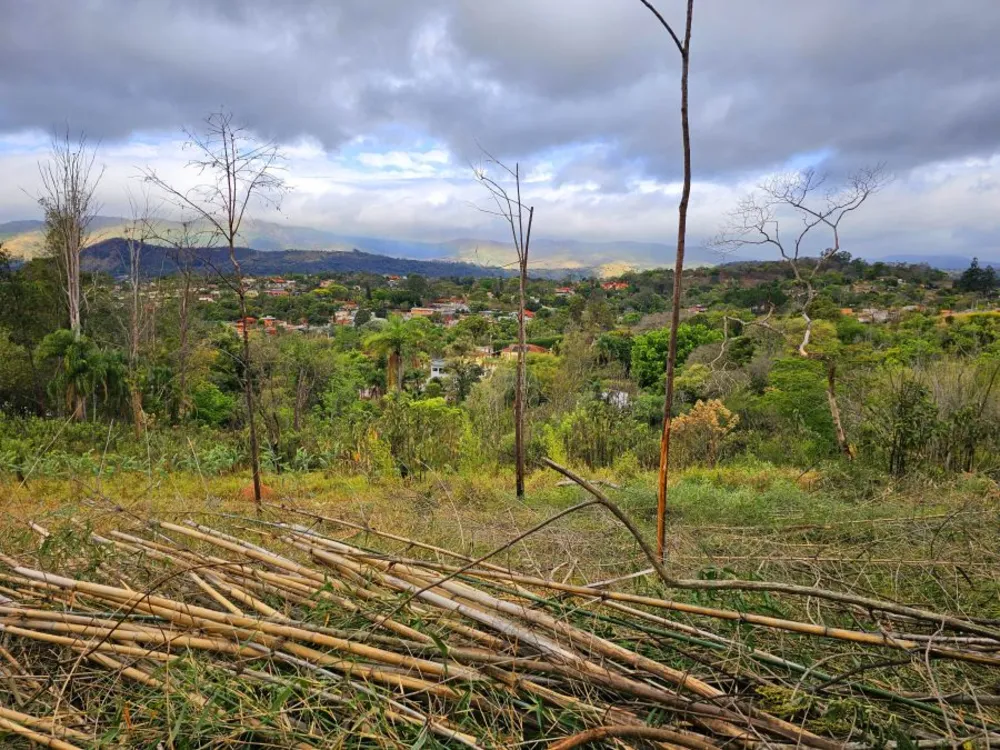 Terreno, 4100 m² - Foto 13