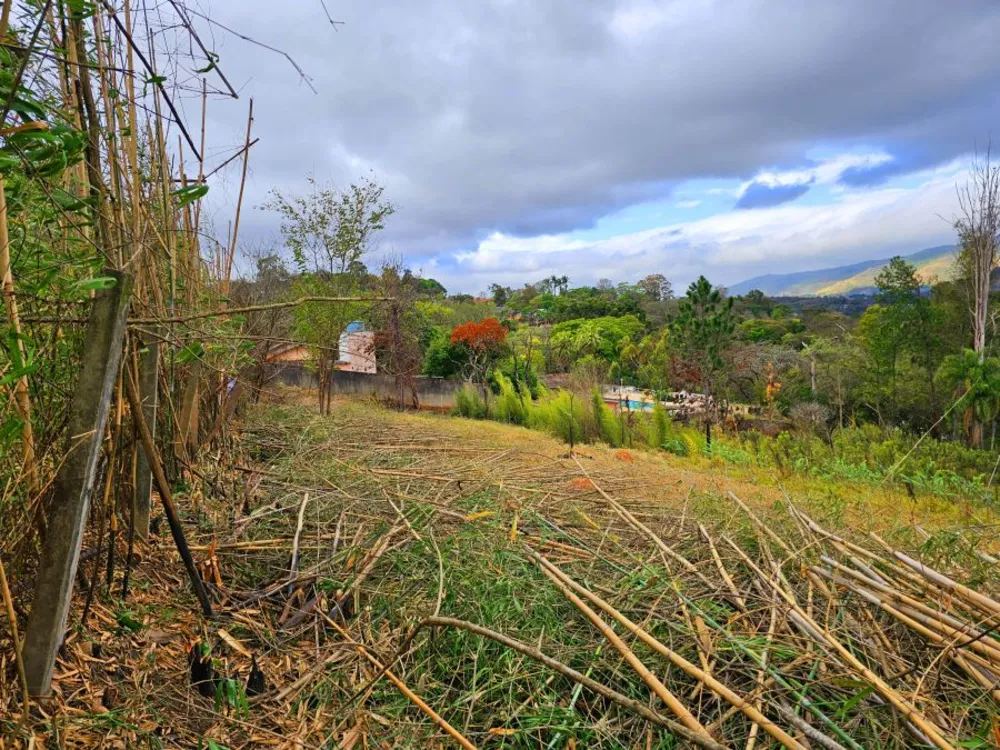 Terreno, 4100 m² - Foto 5