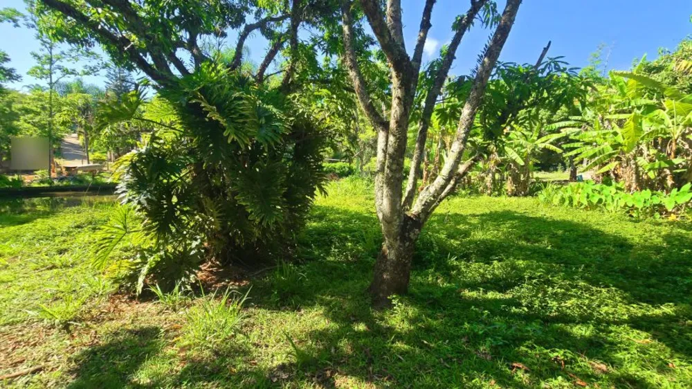 Terreno, 4100 m² - Foto 8