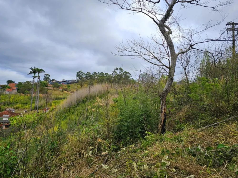 Terreno, 4100 m² - Foto 11