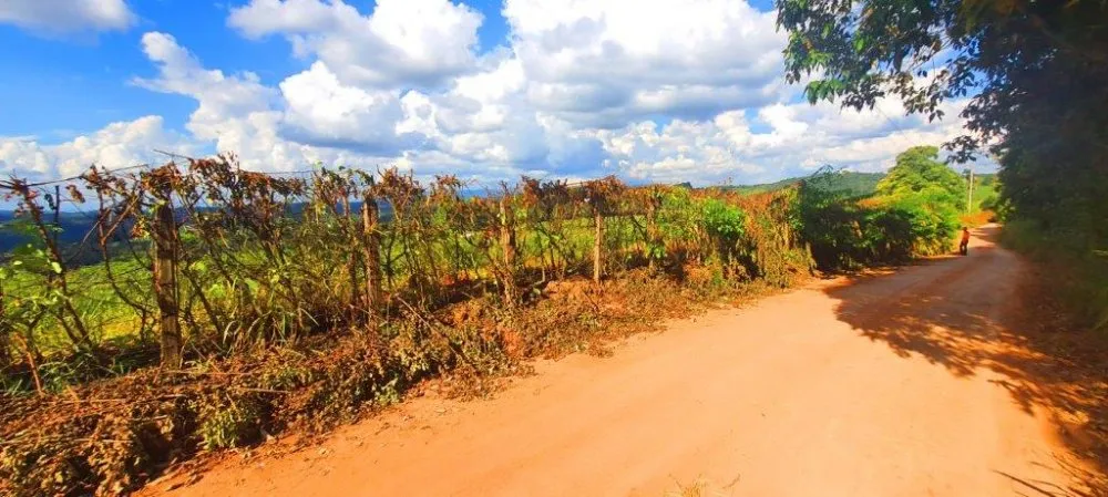 Terreno, 2 hectares - Foto 6