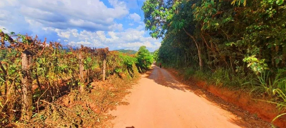 Terreno, 2 hectares - Foto 6