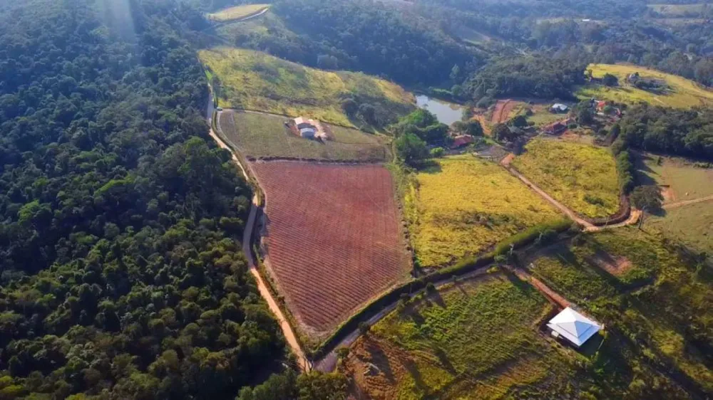 Terreno, 2 hectares - Foto 8