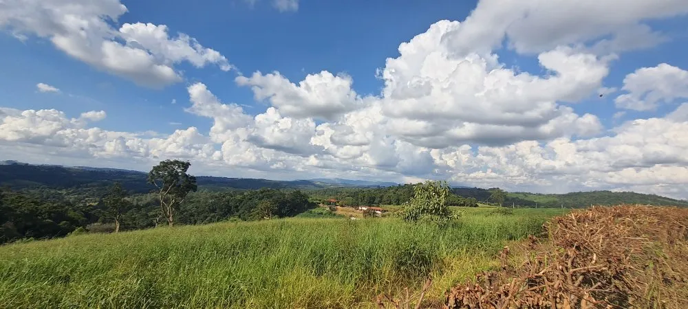 Terreno, 2 hectares - Foto 11