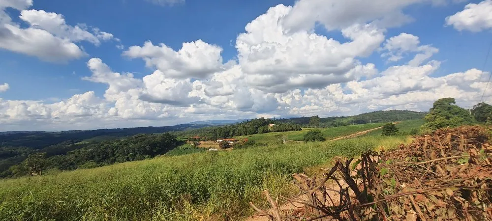 Terreno, 2 hectares - Foto 12