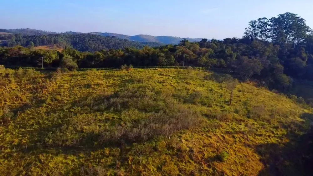 Terreno, 2 hectares - Foto 7