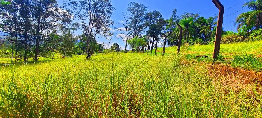 Terreno à venda, 1500m² - Foto 1