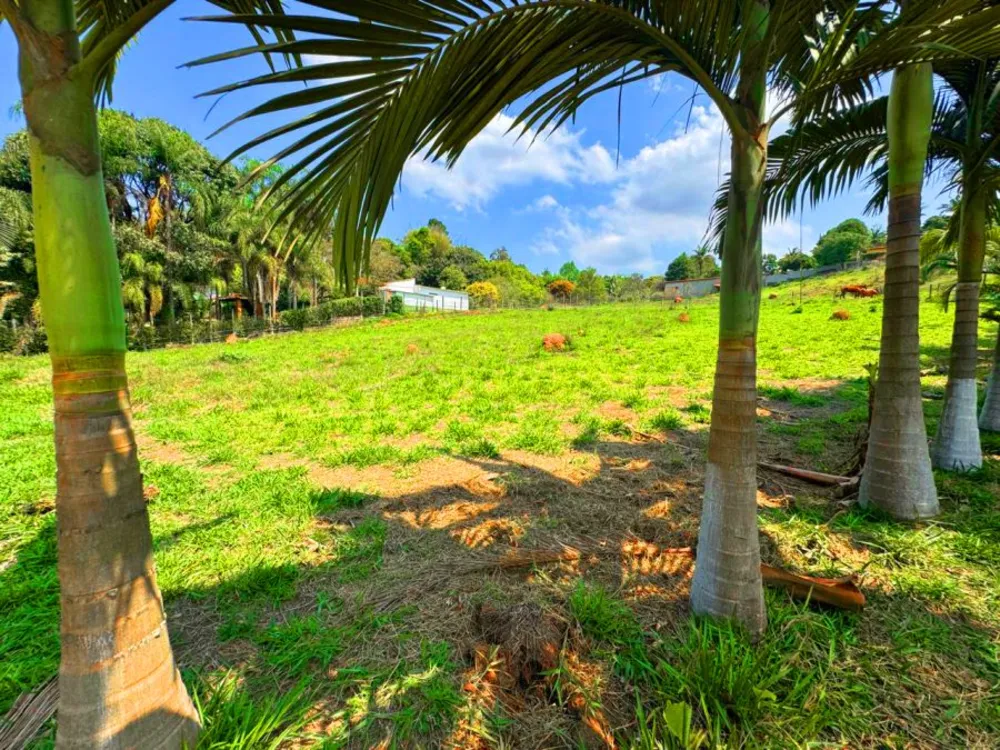Terreno, 3146 m² - Foto 10