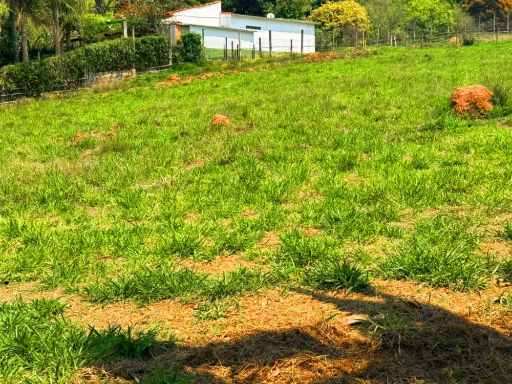 Terreno, 3146 m² - Foto 7