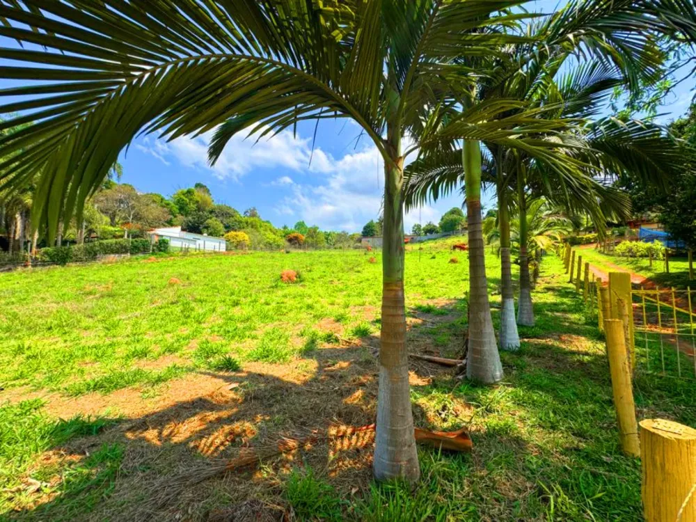 Terreno, 3146 m² - Foto 11