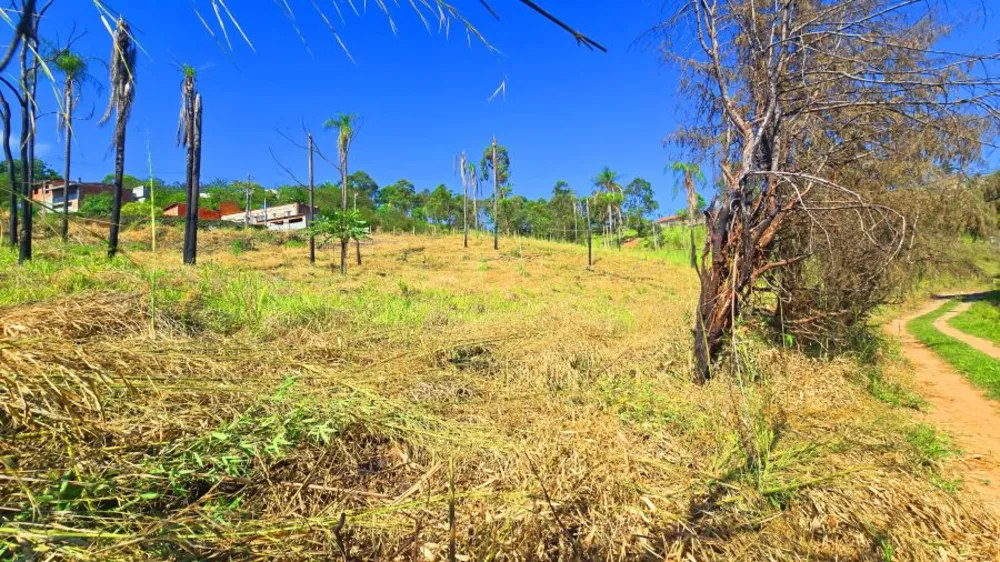 Terreno, 2013 m² - Foto 5