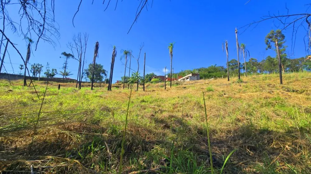 Terreno, 2013 m² - Foto 14