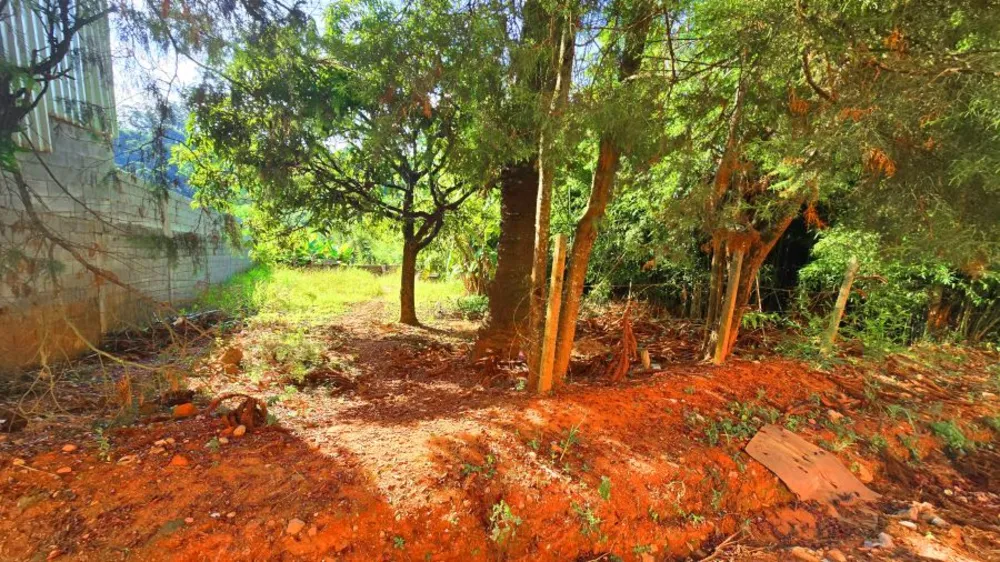 Terreno, 450 m² - Foto 8