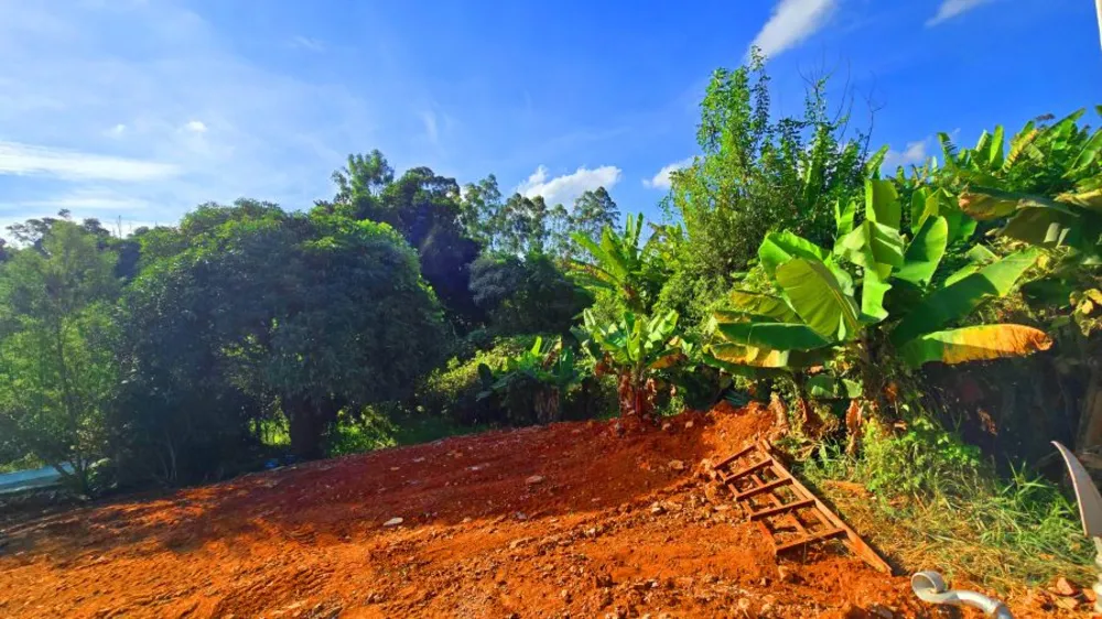 Terreno, 450 m² - Foto 6