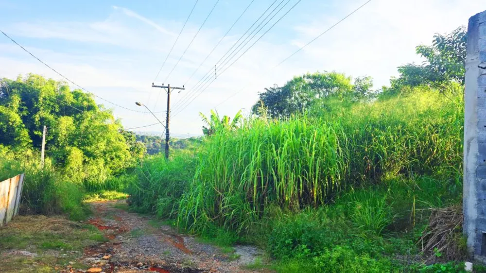 Terreno, 250 m² - Foto 13